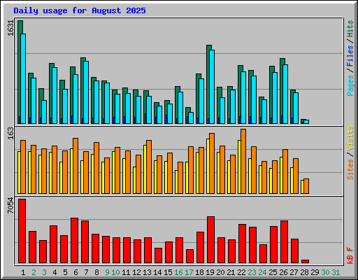 Daily usage for August 2025
