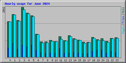 Hourly usage for June 2024