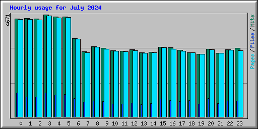 Hourly usage for July 2024