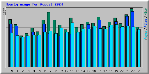 Hourly usage for August 2024