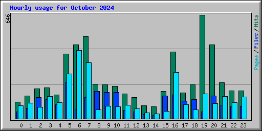 Hourly usage for October 2024