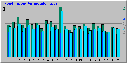 Hourly usage for November 2024