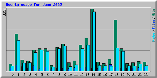 Hourly usage for June 2025