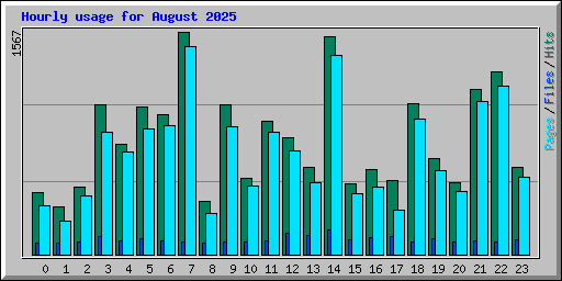 Hourly usage for August 2025