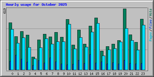 Hourly usage for October 2025