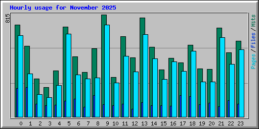 Hourly usage for November 2025