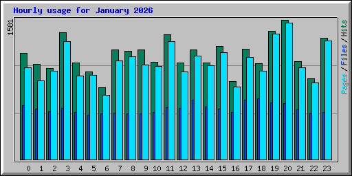 Hourly usage for January 2026
