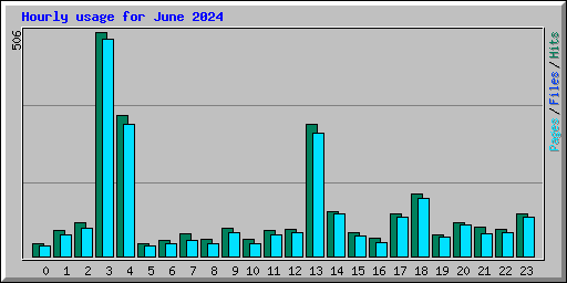 Hourly usage for June 2024