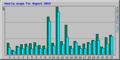 Hourly usage for August 2024