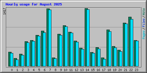 Hourly usage for August 2025