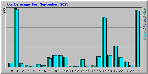 Hourly usage for September 2025