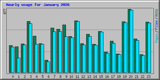 Hourly usage for January 2026
