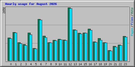 Hourly usage for August 2026